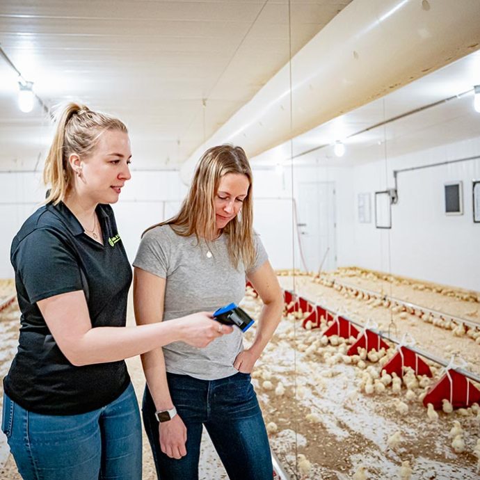 Une expertise à votre service - Production avicole