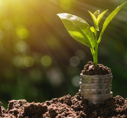 Services agronomiques - VIVACO