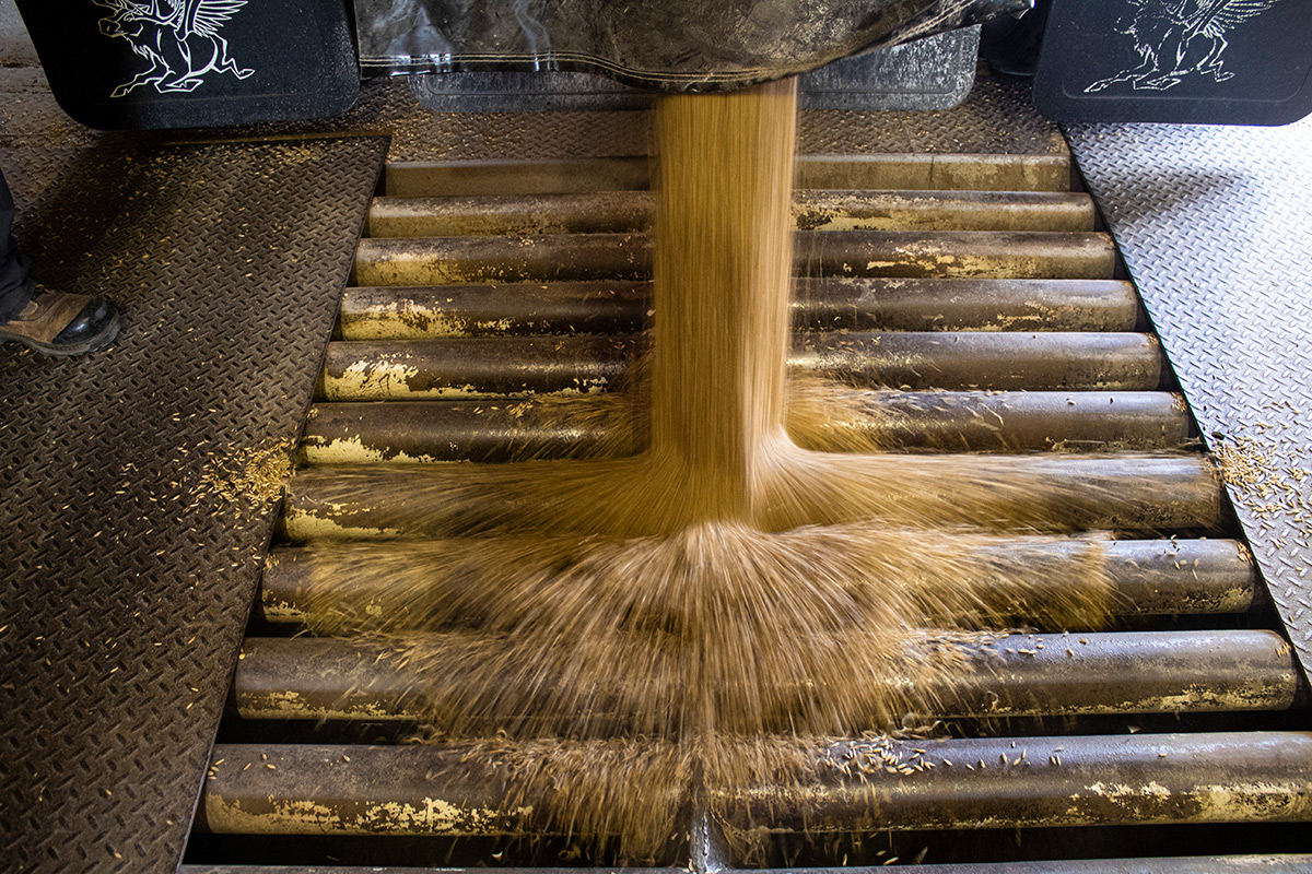 Services de grains - VIVACO