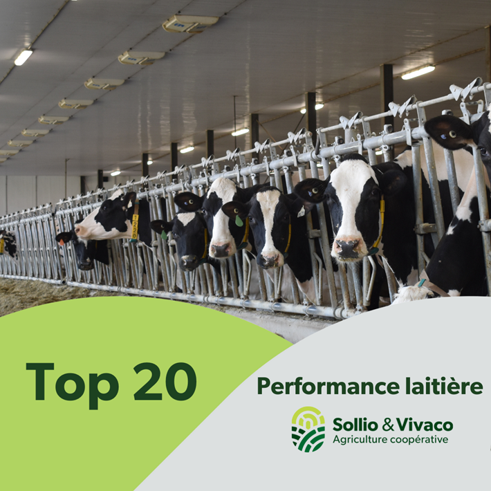 TOP 20 | performance laitière juillet à septembre 2021
